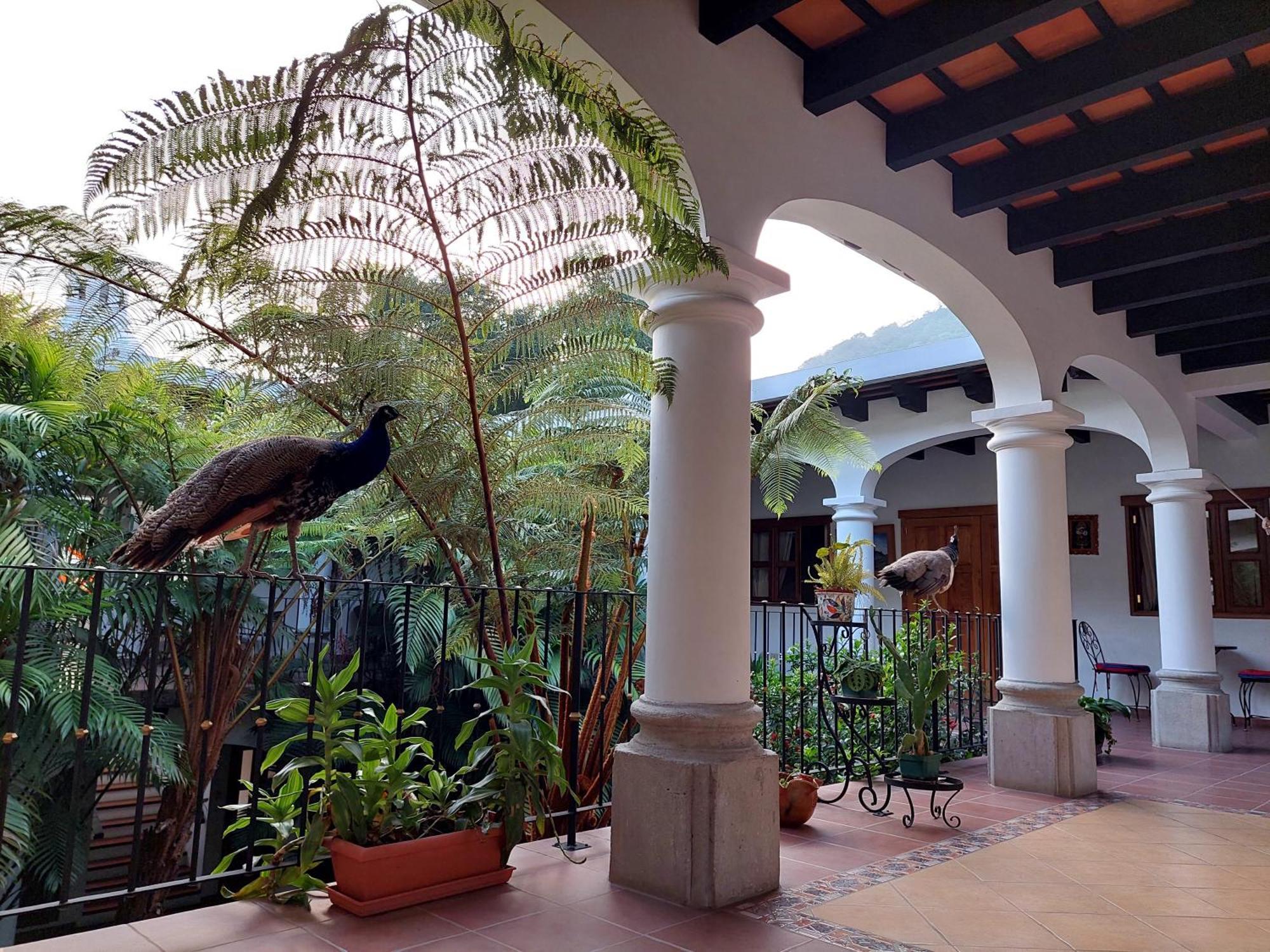 Hotel Y Jardines Casa Buho Antigua Exterior foto